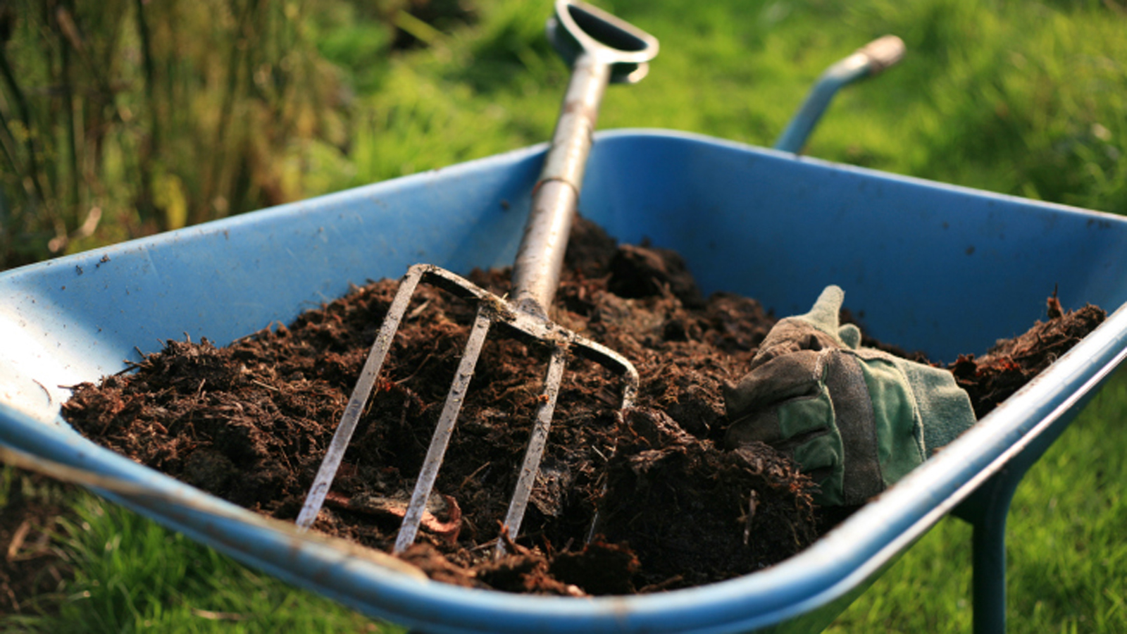 Organic Fertilizing